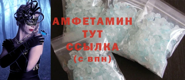индика Аркадак