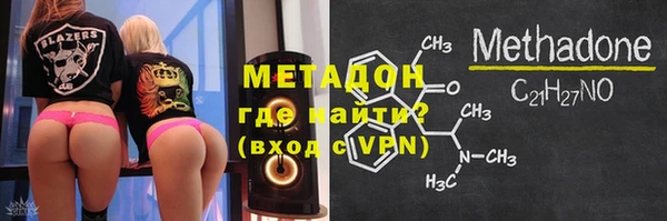 индика Аркадак