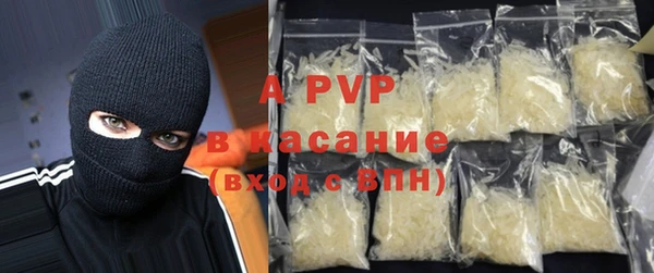 индика Аркадак