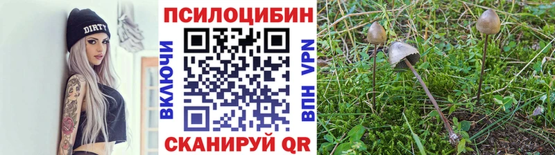Галлюциногенные грибы ЛСД  цена наркотик  Похвистнево 